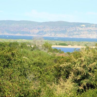 T1 Goose Valley with Sea View
